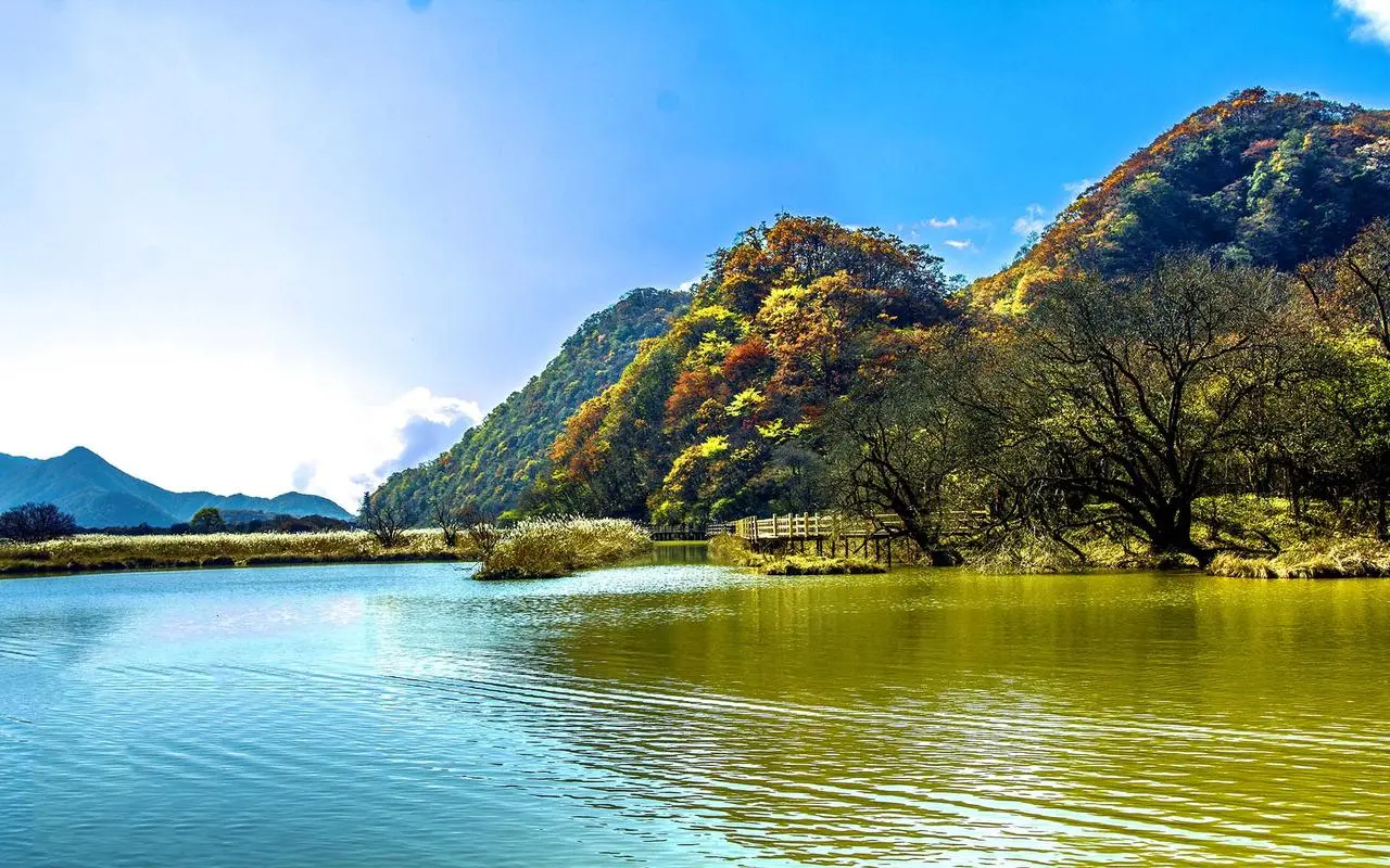 (黑市深渊在哪)黑市妖神：深渊交易者的秘密之路与神秘力量的觉醒